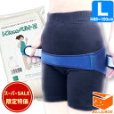 12%OFF!クーポン有★おまけ無し★ トコちゃんベルト 2 (L) H88〜100cm【青葉正規品】送料無料 骨盤ケア 2 l ll 【楽ギフ_包装選択/あす...