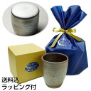 【クーポン有!送料無料】泡が美味しい焼締めビアカップ缶ビール