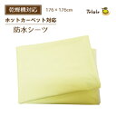 防水シーツ 【ホットカーペット対応】 耐熱 乾燥機対応 176×176cm 正方形 2畳 速乾 電気カーペット ラバーシーツ 洗濯 繰り返し使える 乾燥機OK 防水 保護 赤ちゃん 子供 ペット しつけ 子犬 トイレトレーニング 老犬 介護 ベッドカバー マルチカバー スムース生地 Tetote