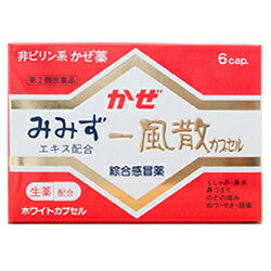 【第(2)類医薬品】【なんと！訳ありワゴンセール☆使用期限：2024年12月】【天真堂製薬】一風散カプセル 6カプセル (4949737182107)【成分により1個限り】【セルフメディケーション税制 対象品】