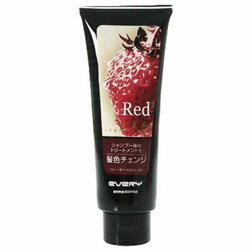 【アンナドンナ】エブリ カラートリートメント レッド 160g ※お取り寄せ商品【RCP】【02P03Dec16】