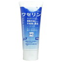 【お得な2個セット】【大洋製薬】ワセリンHGチューブ　100g ※お取り寄せ商品【RCP】