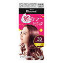 【花王】ブローネ 白髪用ヘアカラー 泡カラー 3B/ボルドーブラウン 2剤(40ml+60mL)セット ※医薬部外品 ※お取り寄せ商品【RCP】