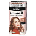 【花王】ブローネ ルミエスト 白髪用ヘアカラー 1WB/ウォーム 2剤(50g+50g)セット ※医薬部外品 ※お取り寄せ商品