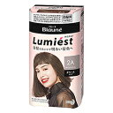 【花王】ブローネ ルミエスト 白髪用ヘアカラー 2A/スタイリッシュアッシュ 2剤(50g+50g)セット ※医薬部外品 ※お取り寄せ商品