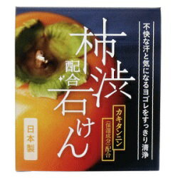 楽天あんしん通販　リリーフ【クロバーコーポレーション】W 柿渋配合石けん 100g ※お取り寄せ商品