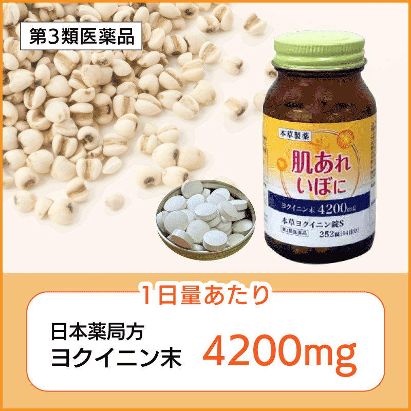 【第3類医薬品】【お得な5個セット】【本草製薬】本草 ヨクイニン錠S 252錠 使用期限：2026年11月