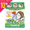 【ポイント10倍:お買い物マラソンと同時開催 ※要エントリー】【帝國製薬】オムニード かぜペッタン 12枚入 指定医薬部外品