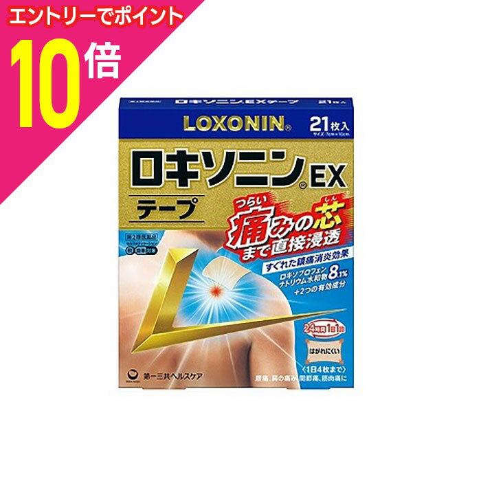 【ポイント10倍：11月まるまるお得 ※要エントリー】【第2類医薬品】【第一三共ヘルスケア】ロキソニンE..