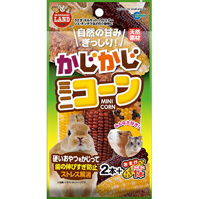 【マルカン】かじかじミニコーン 2本＋おまけ1本 ☆ペット用品 ※お取り寄せ商品【賞味期限：3ヵ月以上】
