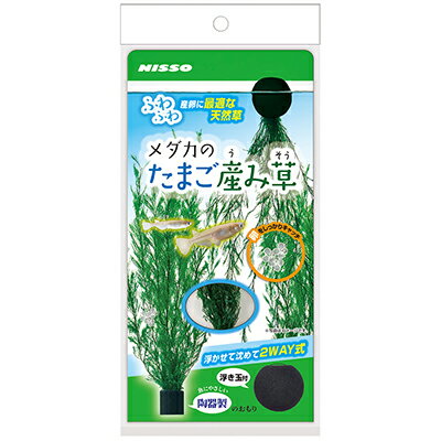 【マルカン ニッソー】メダカのたまご産み草 1個 ☆ペット用品 ※お取り寄せ商品