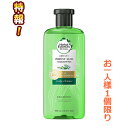 特報!なんと!あの【P&G】ハーバルエッセンス ビオリニュー アロエ&ユーカリ シャンプー(ノンシリコン) 400mL が〜“お一人様1個限定”でお試し価格! ※お取り寄せ商品【RCP】