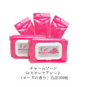プレゼント 【チャームゾーン(CharmZone) Geスキ...