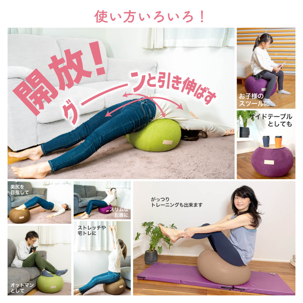 カバーのみ【TVで紹介】Activitalエク...の紹介画像2