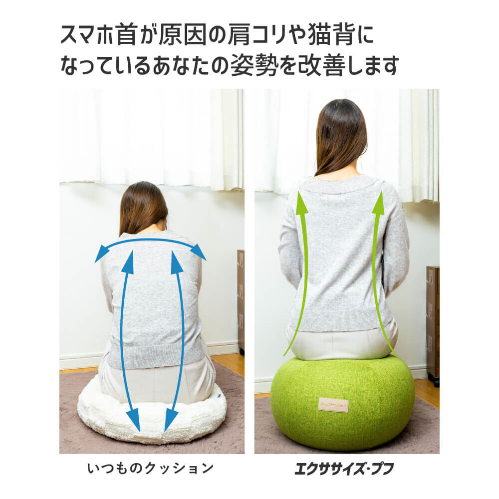 カバーのみ【TVで紹介】Activitalエク...の紹介画像3