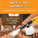 コードレス充電式ブロワー / ブロアー 集塵 落ち葉 洗車 掃除機 送風機 風量調整 軽い 掃除 除雪 除雪機 掃除ブロワ 充電式 芝刈り機 刈払機 芝刈機 庭 雑草 防虫 緑 除草 草刈り機 草刈機 コードレス 風量調節 軽量 洗車 2