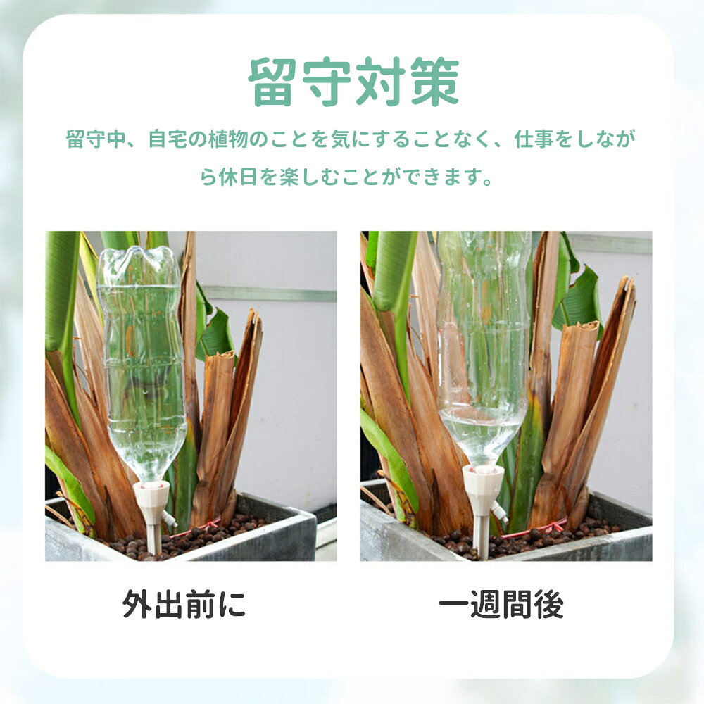 自動給水キャップ 給水キャップ ペットボトル 家庭用 自動水やり器 植物 水やり当...