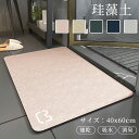 珪藻土バスマット 珪藻土マット 珪藻土 プレゼント ギフト バスマット 足拭きマット 足ふきマット お風呂マット 水切りマット 速乾 吸水 おしゃれ 可愛い かわいい 北欧 お祝い 贈り物 内祝 新築祝 C-44