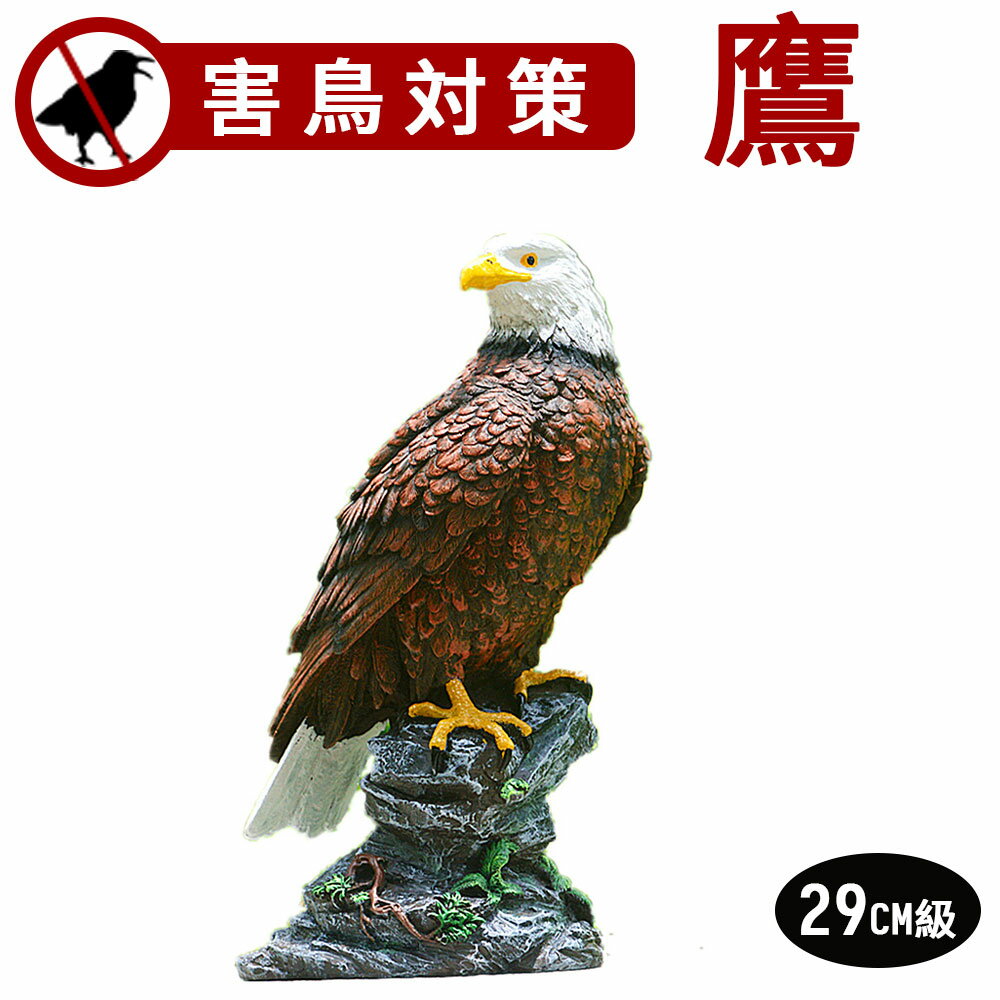 害鳥対策 30cm級 鷹 ホーク 置物 スズメ カラス ムクドリ ハト コウモリ の被害激減 デコイ 樹脂製で耐..