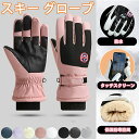 最安値挑戦/スキー グローブ 防寒グローブ レディース メンズ 成人 スキー スノーボード スノボ グローブ ミトン 手袋 五本指登山 バイク 自転車 滑り止め...