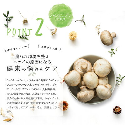 【エチケットサプリ31粒(約1ヶ月分)】(シャンピニオンエキス配合プロポリスメール便送料無料加齢対策エチケット対策体臭ケア口臭ケアトータルエチケットサプリラクトフェリン緑茶)