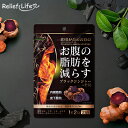 ダイエットサプリ お腹の脂肪を減らすブラックジンジャー+竹炭 31日分 1袋62粒 機能性表示食品 カプセル 竹炭 ブラックジンジャー ポリメトキシフラボン 難...
