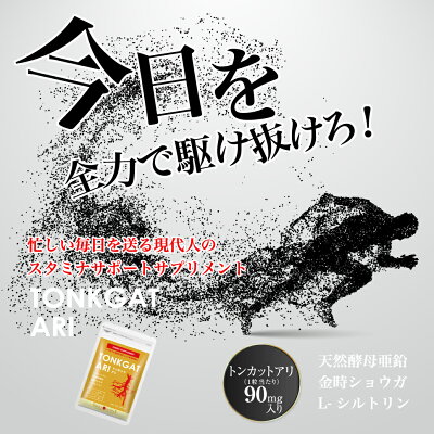 【トンカットアリGold31粒(約1ヶ月分)】(生活サポート活力冷えサポート健康維持滋養強壮メール便送料無料天然酵母亜鉛L-シトルリン金時しょうが金時生姜ミネラル食品スタミナパワー)