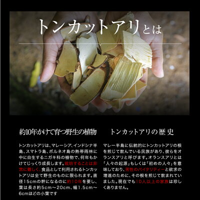 【トンカットアリGold31粒(約1ヶ月分)】(生活サポート活力冷えサポート健康維持滋養強壮メール便送料無料天然酵母亜鉛L-シトルリン金時しょうが金時生姜ミネラル食品スタミナパワー)