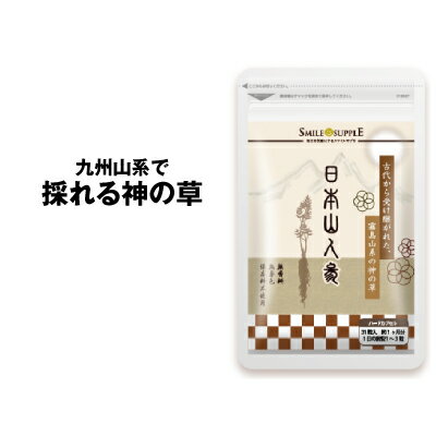 日本山人参31粒 ヒュウガトウキ ひゅうがとうき メール便送料無料 イヌトウキ 生活習慣 神の草 コエンザイムQ10 ヒドリキシプロリン アミノ酸 健康維持 健康サプリメント 健康サプリ