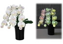 ルミナスLED「胡蝶蘭」〔PC製〕高さ41cmすっきりコード巻&お線香テスタープレゼント!【LED】【おまけ付】【胡蝶蘭】【LED】【電気式】【お盆】【盆提灯】...