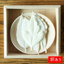 【訳ありワゴンセール】【PA-76】【葉っぱの形のお香】【6種セット】PAPER INCENSE「HA KO #02 」6枚入 桐箱 /香皿付き#1702紙のお香 はっぱのお香 HAKO お香 文香 名刺香 和紙 カードディフューザー 葉 ポーチ 栞 ペーパーインセンス ルームインセンス
