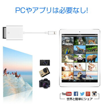 iphone sdカードリーダー USBメモリ バックアップ iOS iPhone 7 8 X iPad カードカメラリーダー 高速データ転送 ios専用 アイフォン アイフォーン 写真 転送