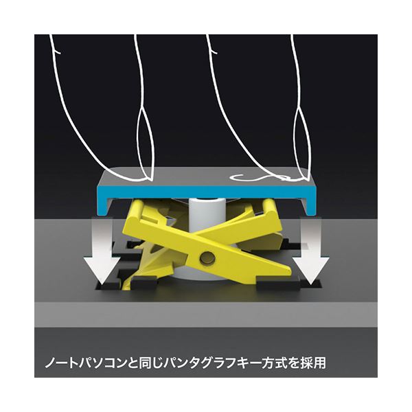 サンワサプライ USBType-Cスリムキーボード ブラック テンキー付き SKB-SL31CBK 1台