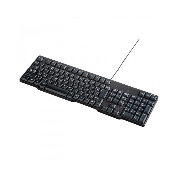 サンワサプライUSBキーボード ブラック SKB-L1UBKN 1台