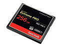 256GB SanDisk/サンディスク コンパクト