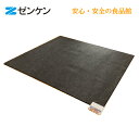 電磁波カットホットカーペット3畳タイプ(本体のみ・カバー無) ZCB-30Pゼンケン正規取扱店【ポイント10倍】【メール便・コンパクト便不可】