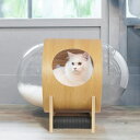 送料無料 宇宙船 猫ハウス 猫ベッド ドーム型 透明 ペットハウス木製 爪とぎ付き クッション付き 木製 通気性 ネコ 休憩所 可愛いオシャレ 季節を問わず 組...