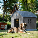 犬小屋 屋外 プラスチック製 ペットハウス 猫 犬 ペットケージ 室外 室内 柴犬 小型犬 中型犬 ブルー M/L