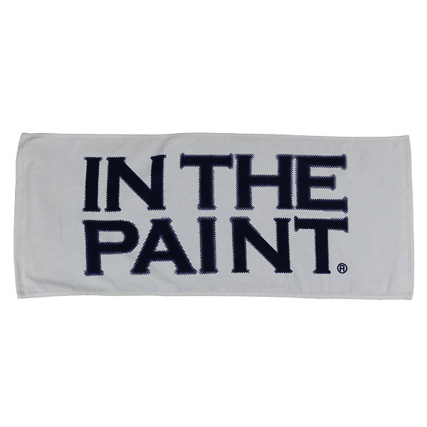 <全品10%OFFクーポン発行中> <ネコポス発送 送料無料> インザペイント(IN THE PAINT) ITP25450 IGRY バスケットボール タイポ...