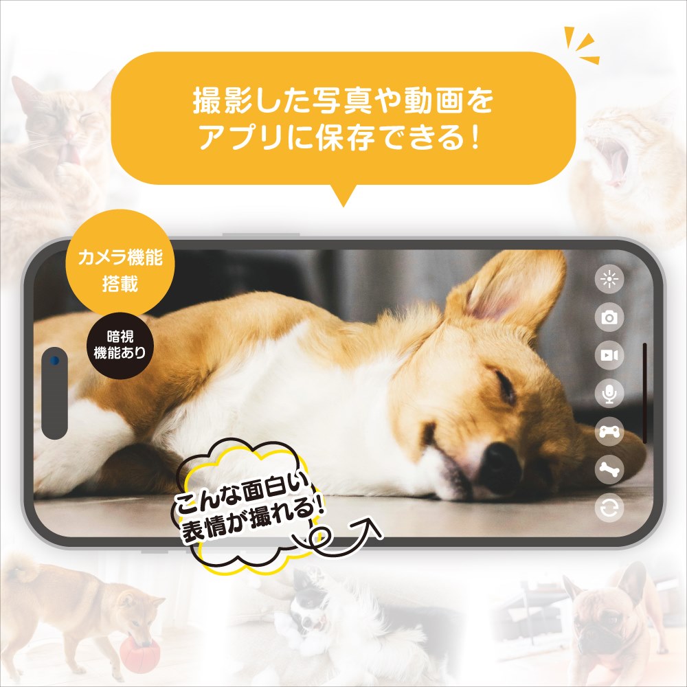 ��ư�������� ���ˤ�󸫼���� ����ꥫ��� ����� ����� ������ ���ޥ� ��� �ڥå� �� ǭ �Ż߲� ư�� ���� Ͽ�� ���� �ե�HD �Ż륫��� ��� ��� ���� ����� �ɥ饤�ա��� ��� ������ �Хåƥ꡼ ���� Type-C anpet ����ڥå� ANP-W001 ��0002��