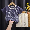 ベビー服 セットアップ ショートパンツ Tシャツトップス 子供服 半袖Tシャツ+ショートパンツ 2点セット 男の子 上下セット キッズ カジュアル ジュニア ルームウェア 半ズボン スポーツ 通園 通学 普段着 旅行 海辺 ビーチ