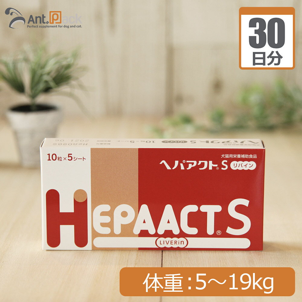  إѥS Х  ν5kg19kg 12γ30ʬ