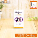 【お試し1日分】日本ビーエフ ブルーベリー&ルテイン犬猫用 体重10kg〜19kg 2粒 1日分