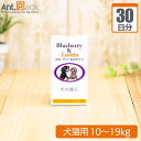 日本ビーエフ ブルーベリー&ルテイン犬猫用 体重10kg〜19kg 1日2粒 30日分