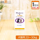 【お試し1日分】日本ビーエフ ブルーベリー&ルテイン犬猫用 体重20kg〜30kg以上 3粒 1日分