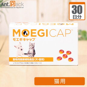 共立製薬 モエギキャップ 猫用 1日1粒30日分