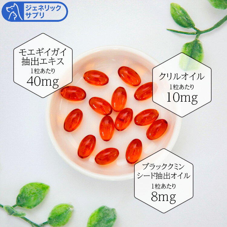 �����ͥ�å����ץ� ������ȥ�ץ� ��ǭ�� �ν�20kg��30kg 1�� 3γ30��ʬ