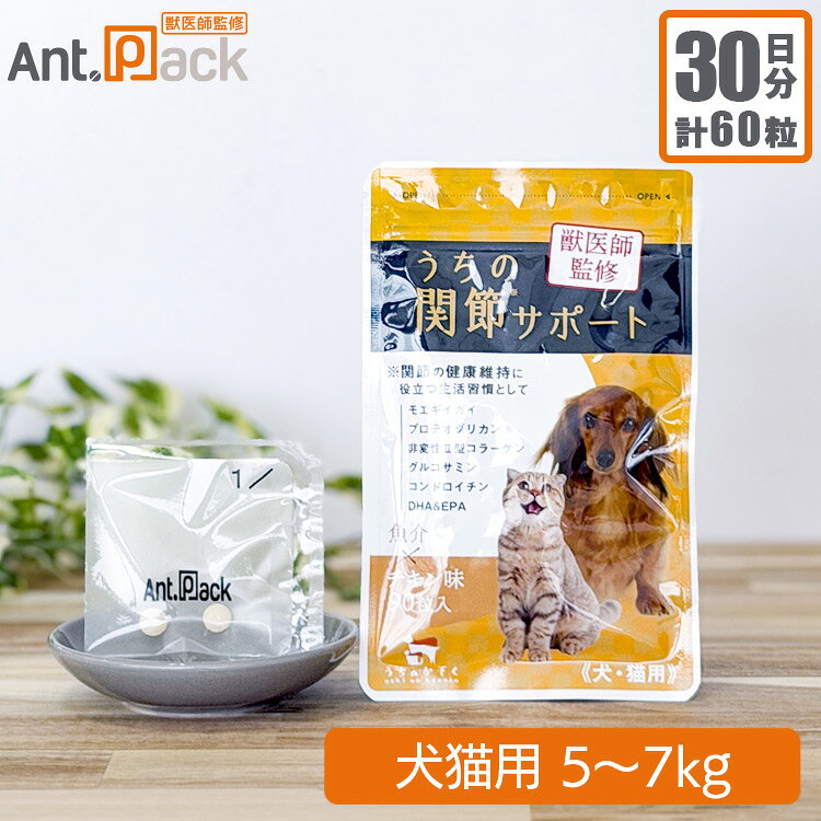 楽天市場】うちの関節サポートの通販