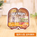 ニュートロ キャット ワイルド レシピ サーモン パテタイプ 成猫用 トレイ 75g×6個【ネコポス送料無料】(45203817)