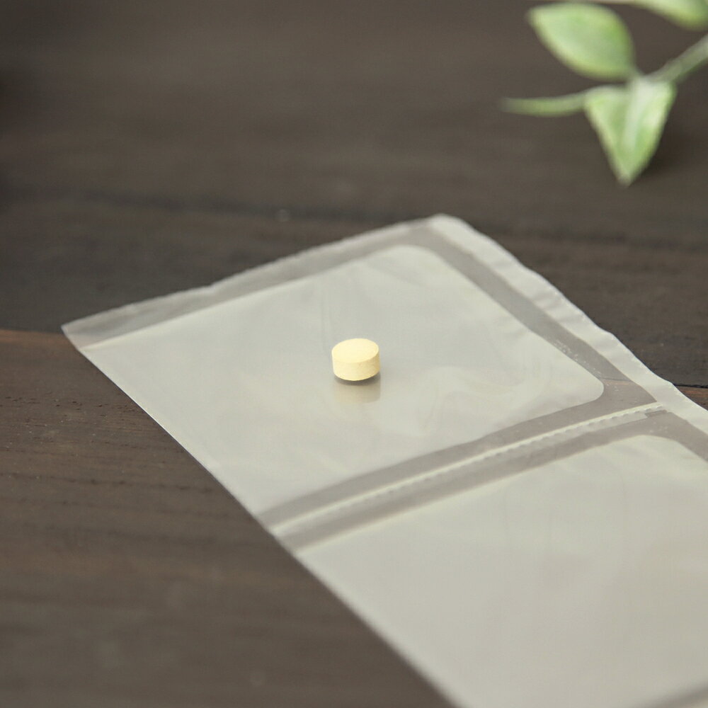 共立製薬 プロラクト鉄タブ 犬用 体重5kg〜14kg 1日2粒30日分 ant-pack-10000817 ペット用サプリ専門 Ant.Pack サンプル画像3